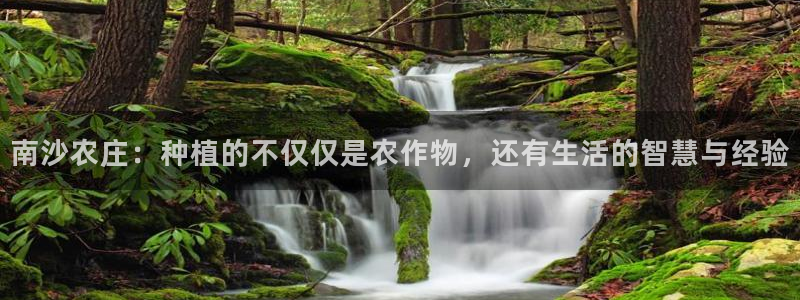 天辰a娱乐