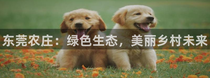 天辰娱乐ttf