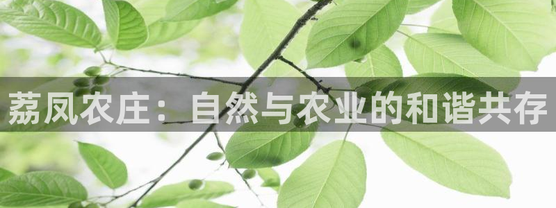 天辰娱乐天辰注册登录