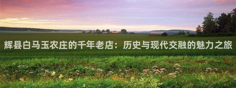 天辰娱乐总管