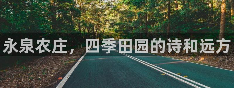 天辰娱乐在哪