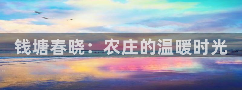 深圳天辰娱乐