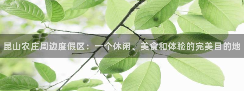 天辰娱乐ttf