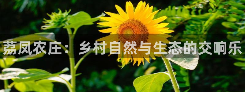 天辰娱乐 44516