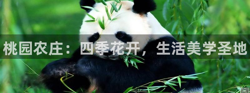 天辰娱乐台湾