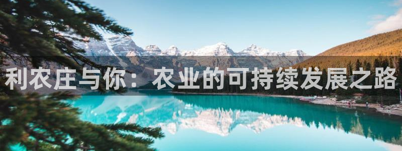天辰娱乐平台入口