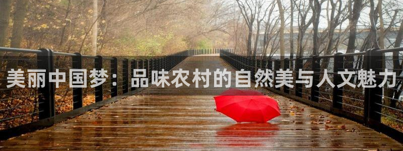 天辰娱乐登陆