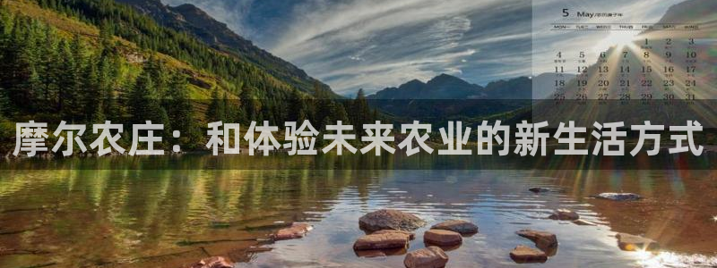 天辰娱乐在哪