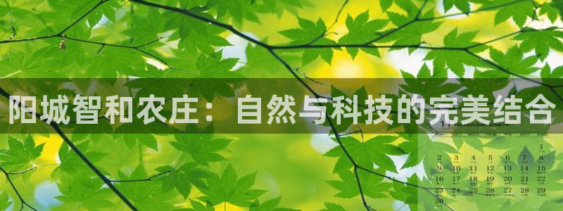 天辰娱乐平台靠谱么