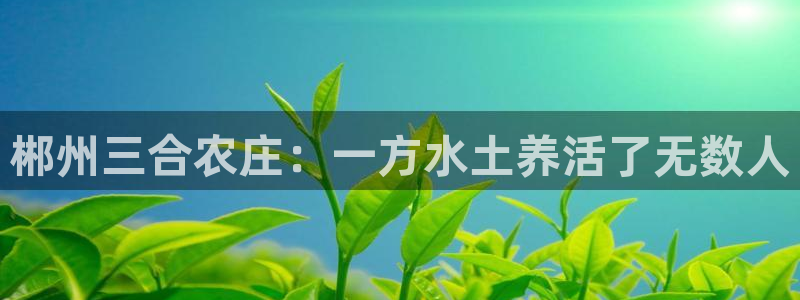 天辰娱乐44516