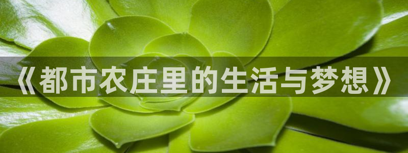 天辰娱乐 231639