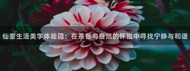天辰登陆娱乐