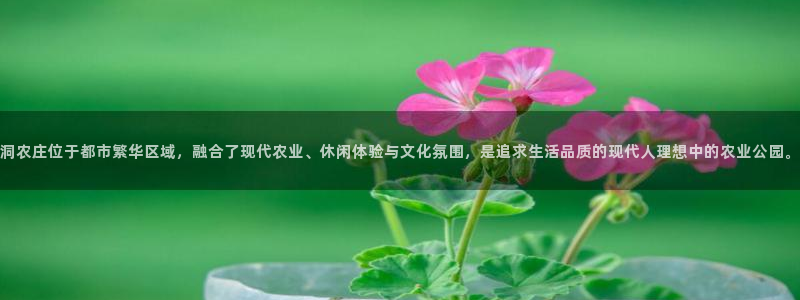 天辰娱乐新