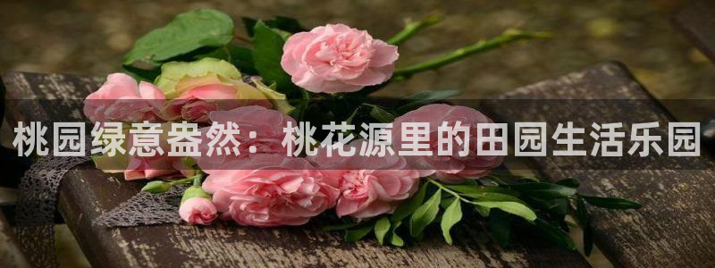 天辰娱乐在哪