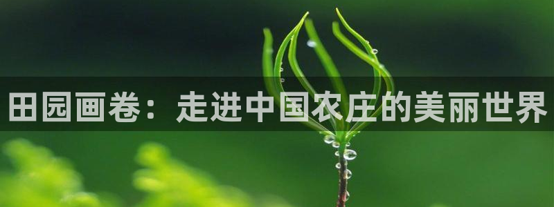 哈尔滨天辰娱乐