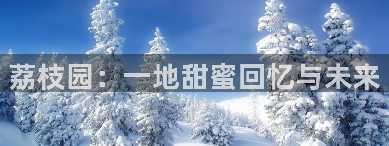 天辰娱乐51137