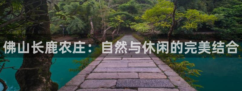 天辰娱乐赌博