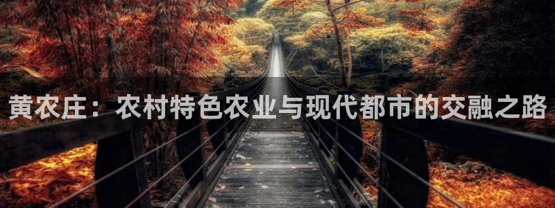 天辰娱乐的网址首页