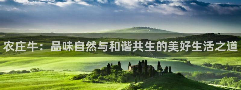 天辰娱乐平台地址
