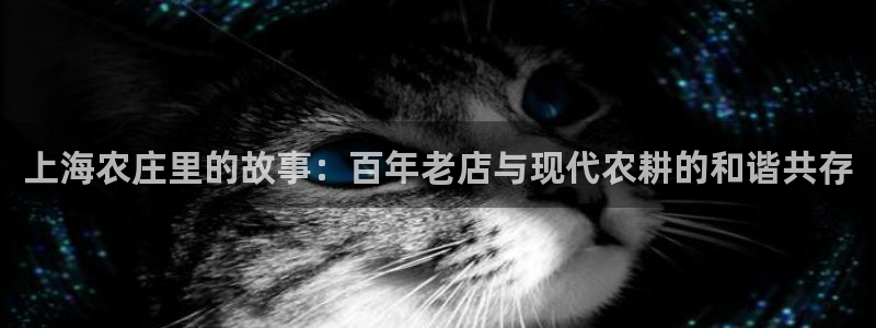 天辰娱乐说
