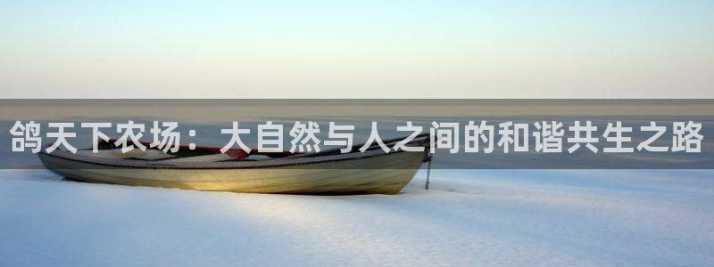 天辰娱乐885544