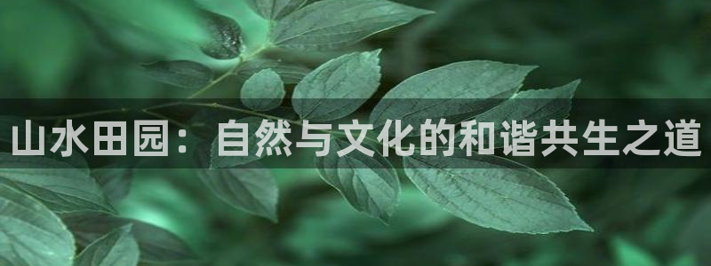 天辰娱乐总管年薪