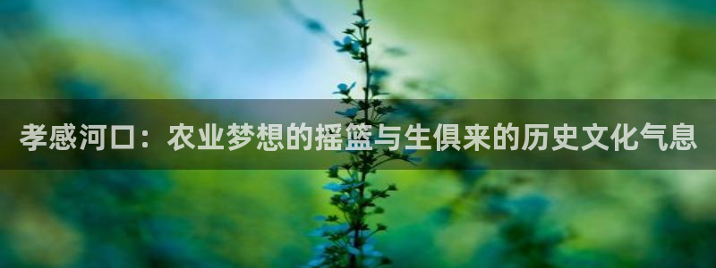 天辰娱乐链接