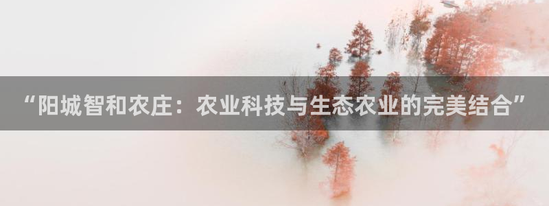 天辰娱乐网