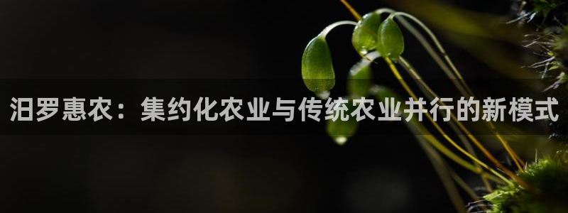 大庆天辰娱乐
