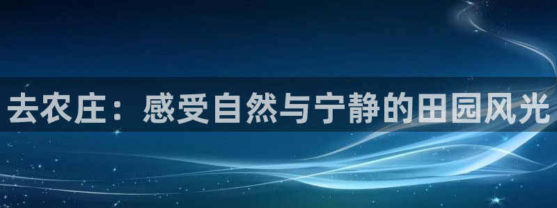 天辰团队贝高娱乐