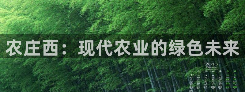 天辰娱乐反水