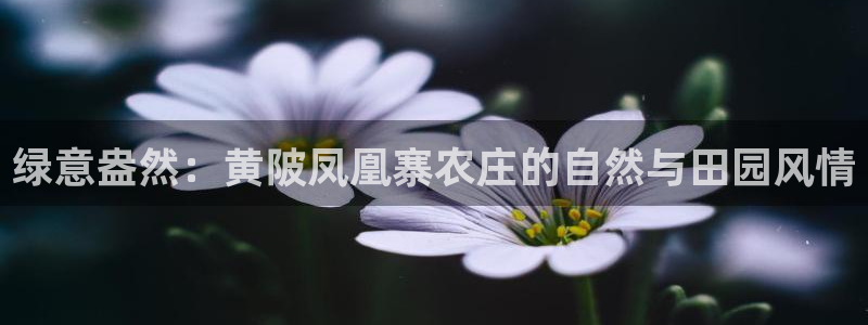 天辰娱乐咋样