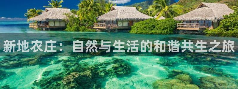 天辰娱乐53551