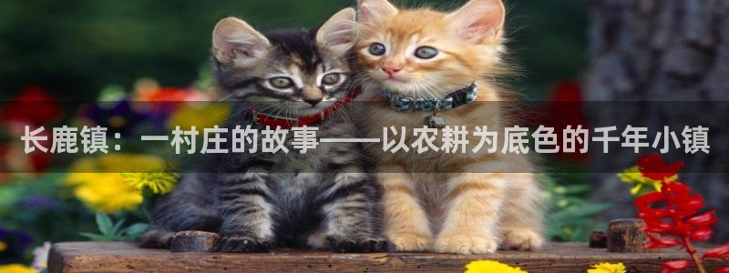 天辰娱乐卡