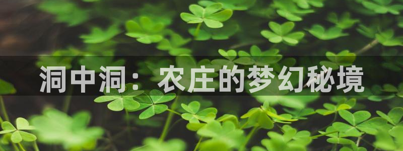 天辰娱乐 主管
