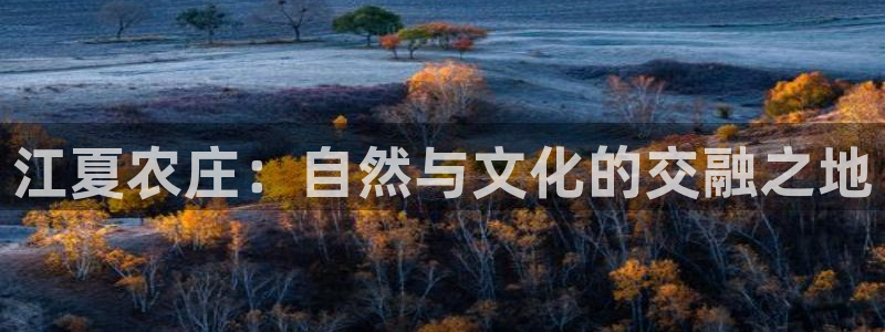 天辰娱乐84566