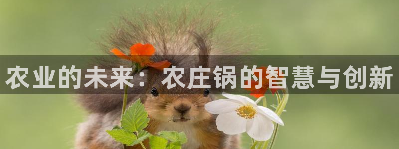 天辰国际娱乐