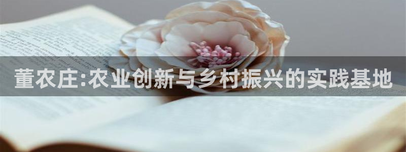 天辰娱乐文案