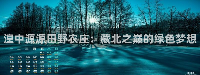 天辰娱乐 849852