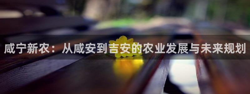 天辰娱乐 728567