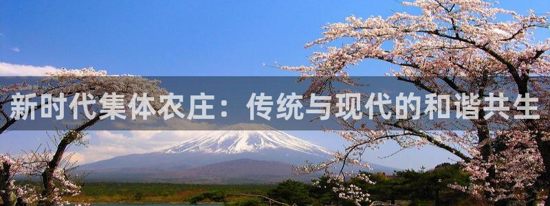 天富娱乐天辰娱乐