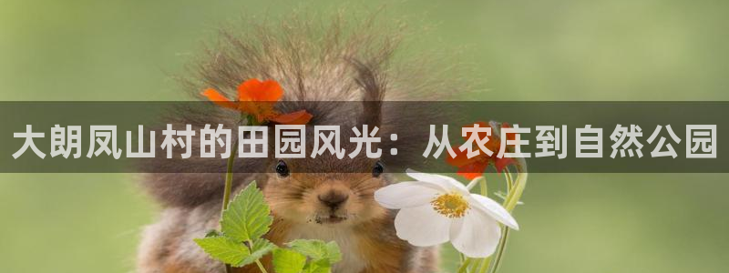 天辰娱乐 主管