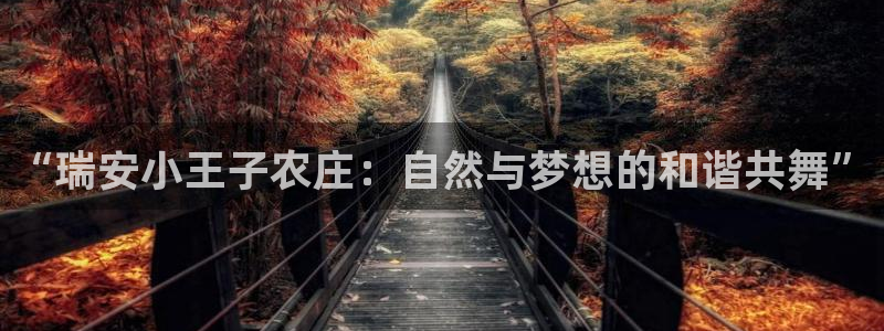 天辰娱乐_675138