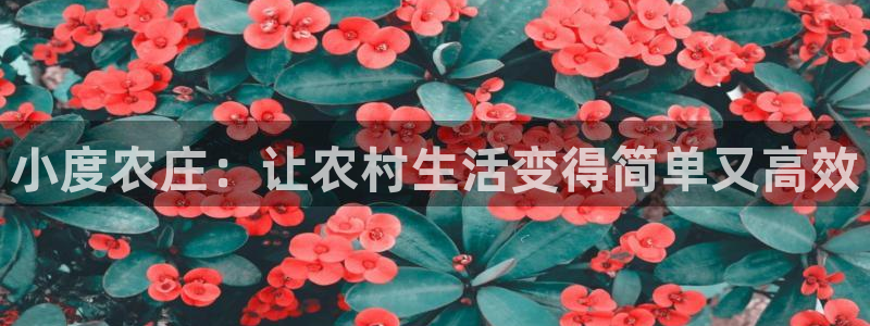 天辰娱乐客服
