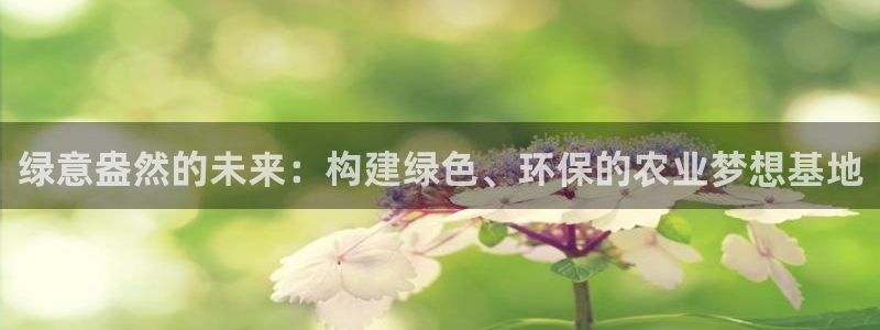 天辰娱乐总管