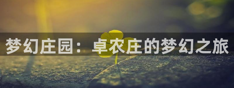 天辰娱乐51137