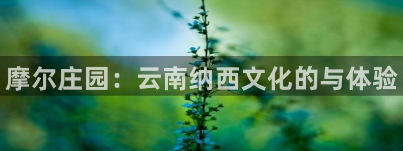天辰辰娱乐代理