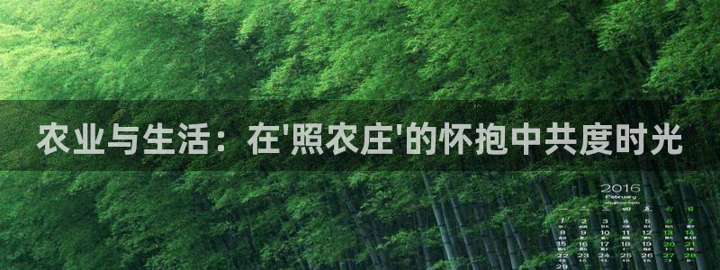 天辰娱乐登录测试