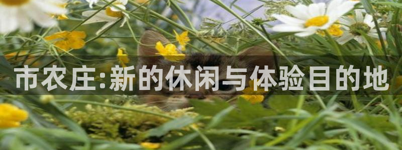 天辰娱乐娱乐平台