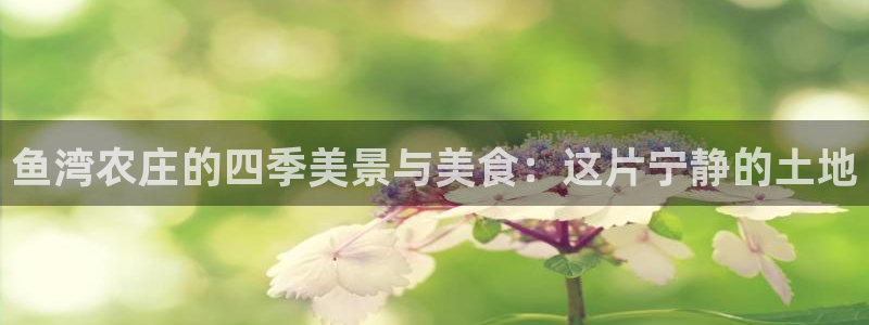 天辰娱乐黑人